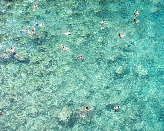 Clear Sea Swimmers