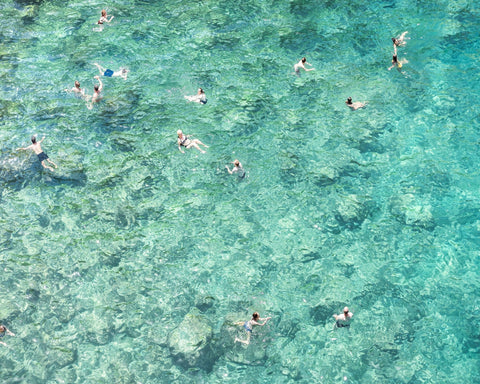 Clear Sea Swimmers