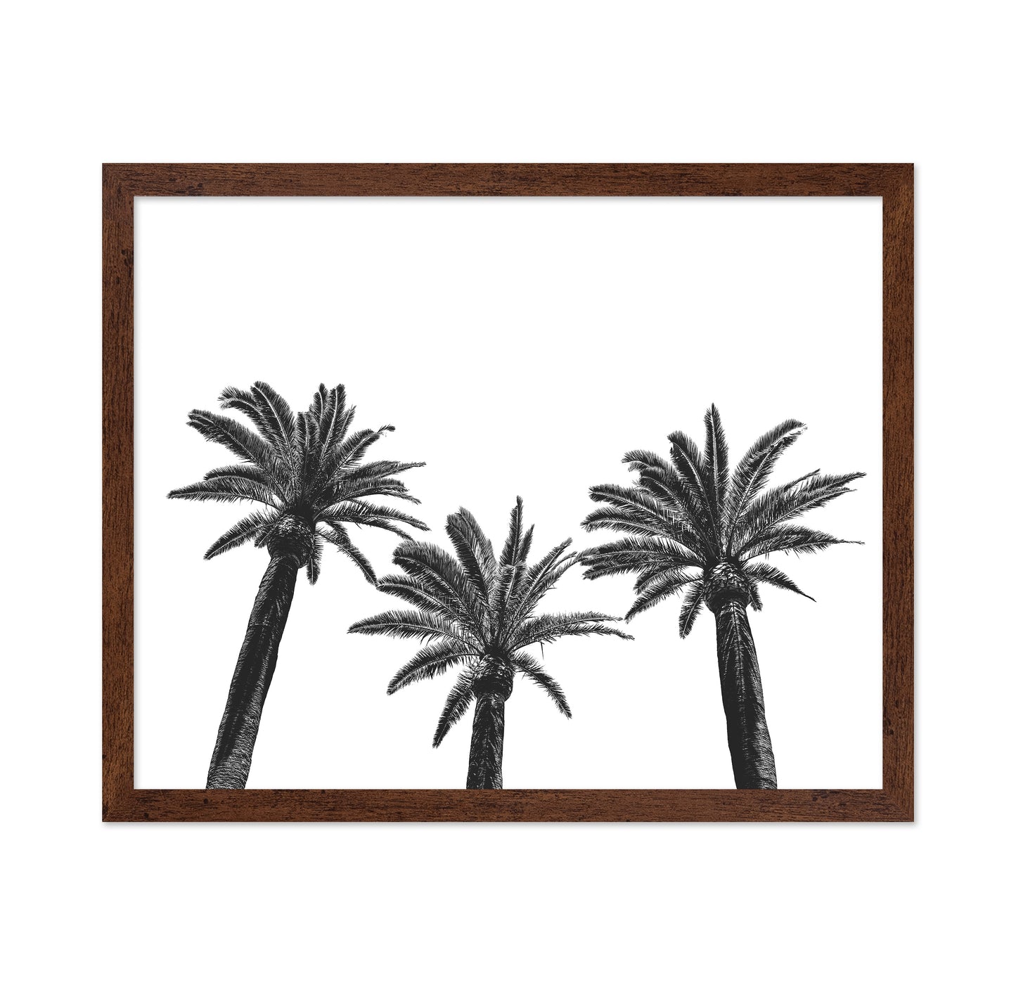 Palm Trio Silhouette