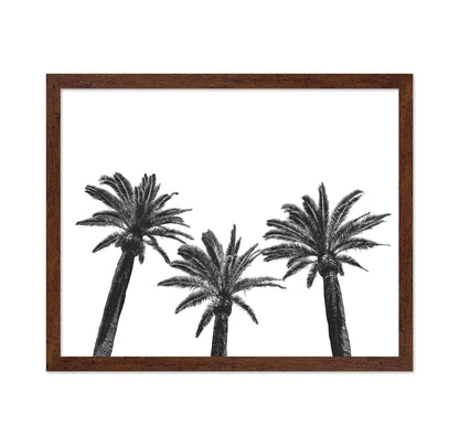 Palm Trio Silhouette