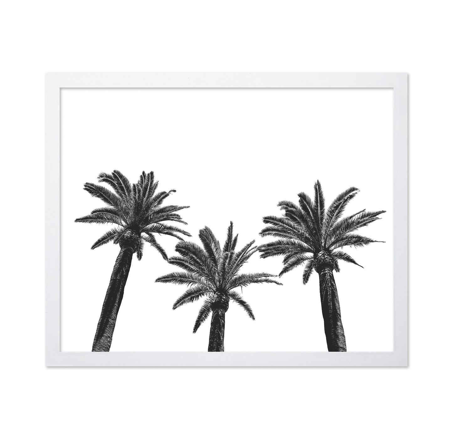 Palm Trio Silhouette