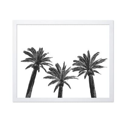 Palm Trio Silhouette