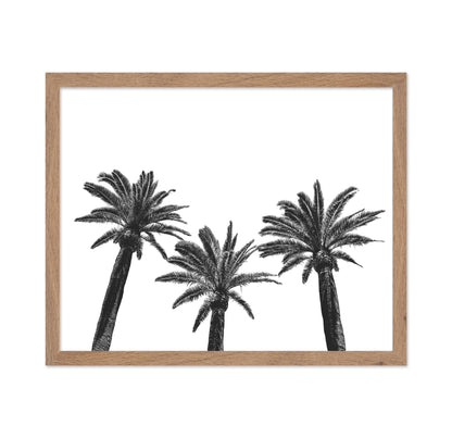 Palm Trio Silhouette