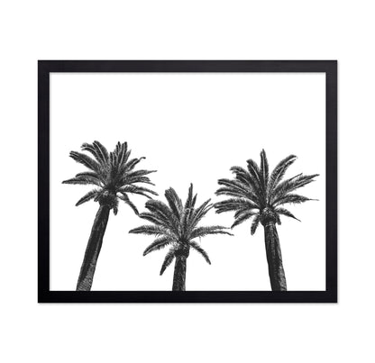 Palm Trio Silhouette