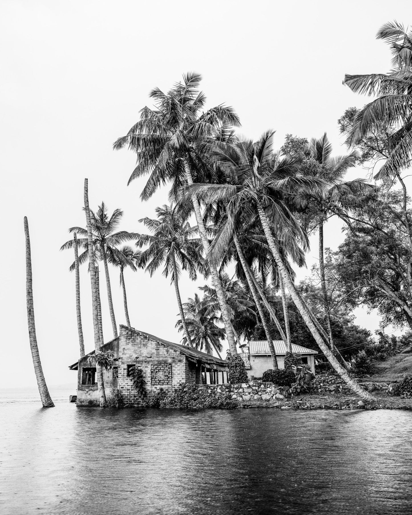 Tropical Island House