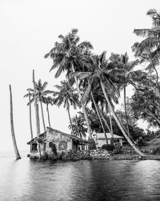 Tropical Island House