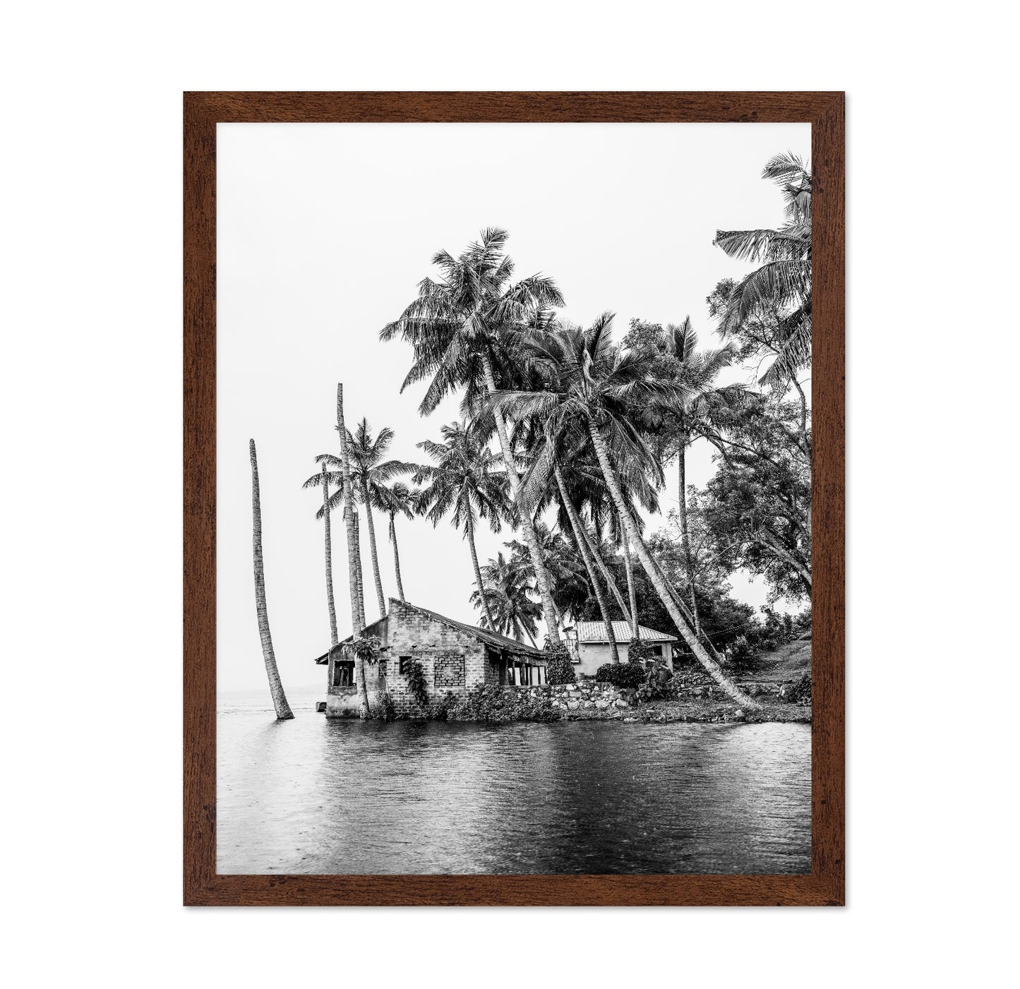 Tropical Island House