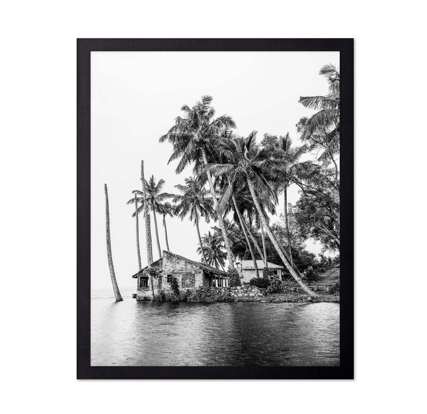 Tropical Island House