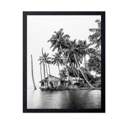 Tropical Island House