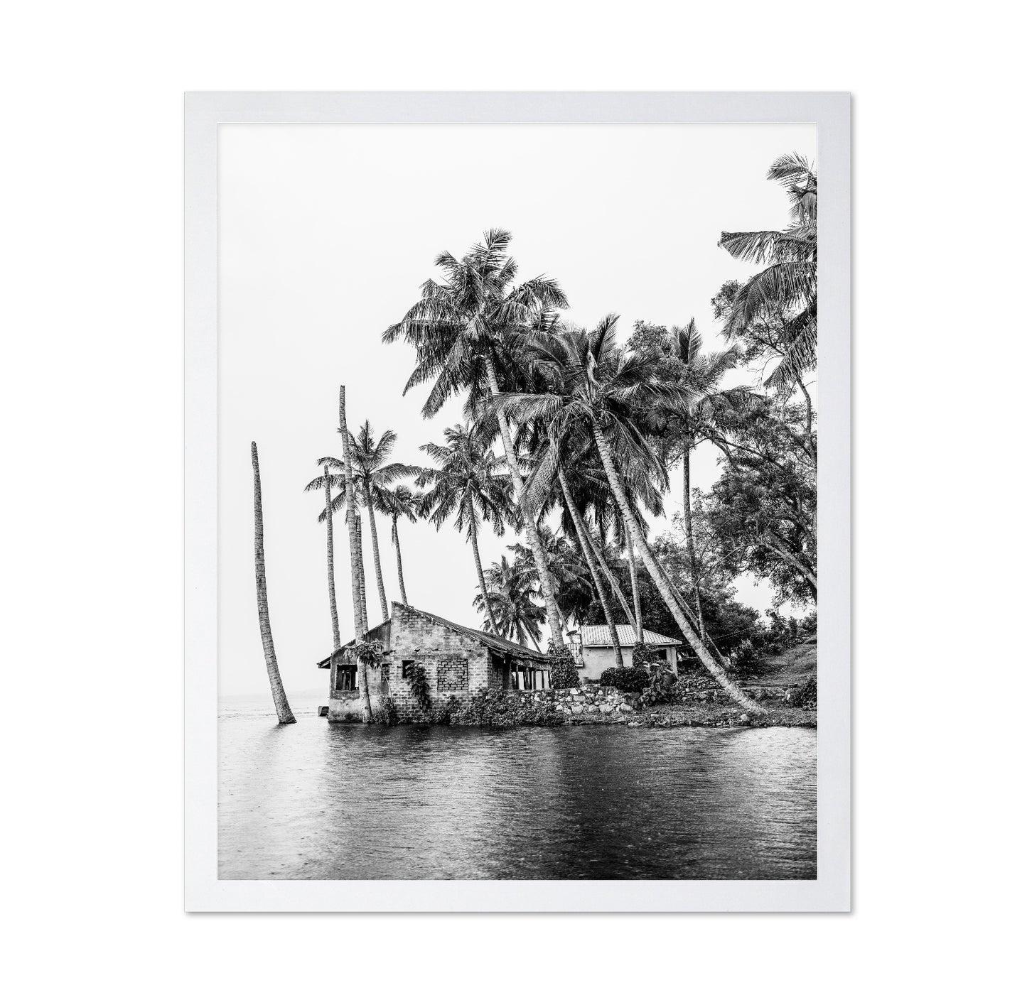 Tropical Island House