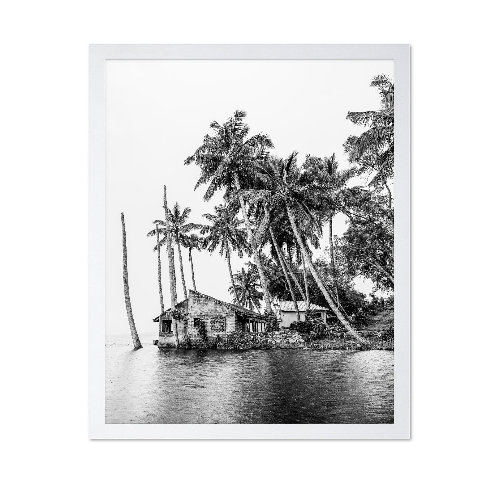 Tropical Island House