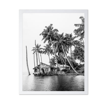 Tropical Island House