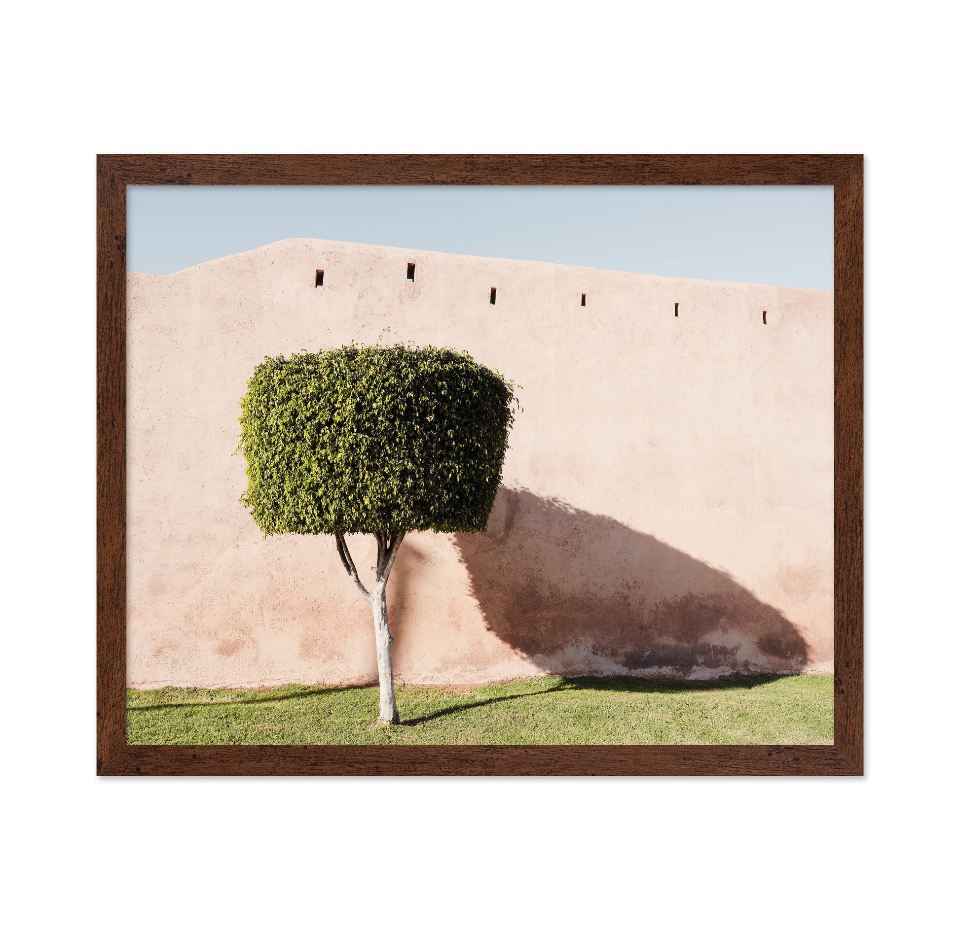 Moroccan Tree Shadow