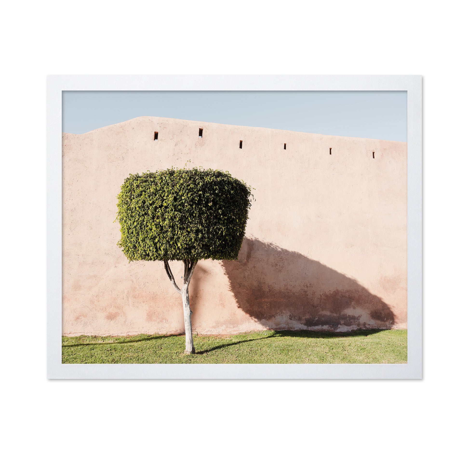 Moroccan Tree Shadow