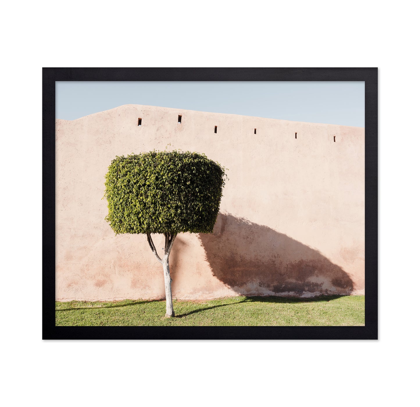 Moroccan Tree Shadow