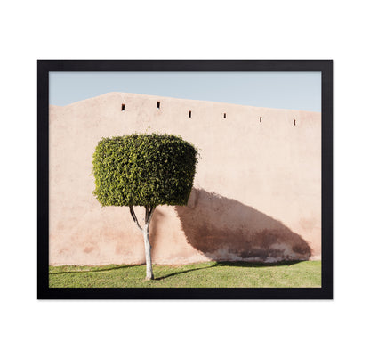 Moroccan Tree Shadow