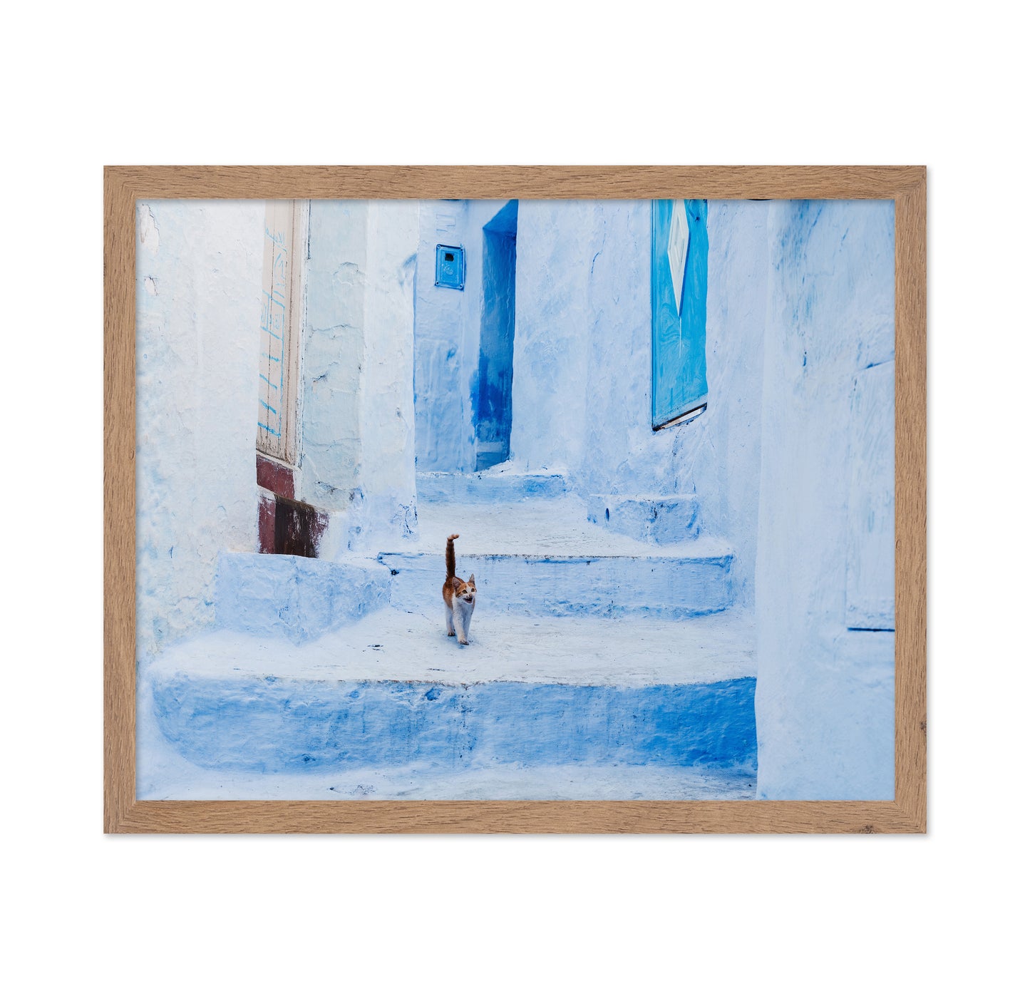 Chefchaouen Cat Walk