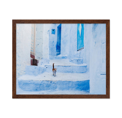 Chefchaouen Cat Walk