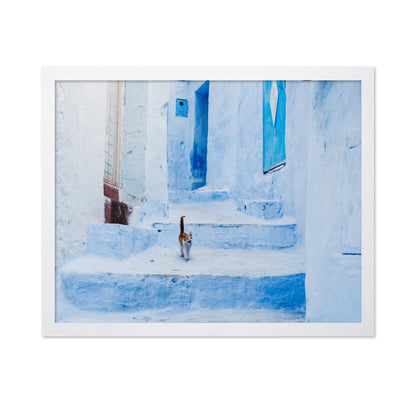 Chefchaouen Cat Walk