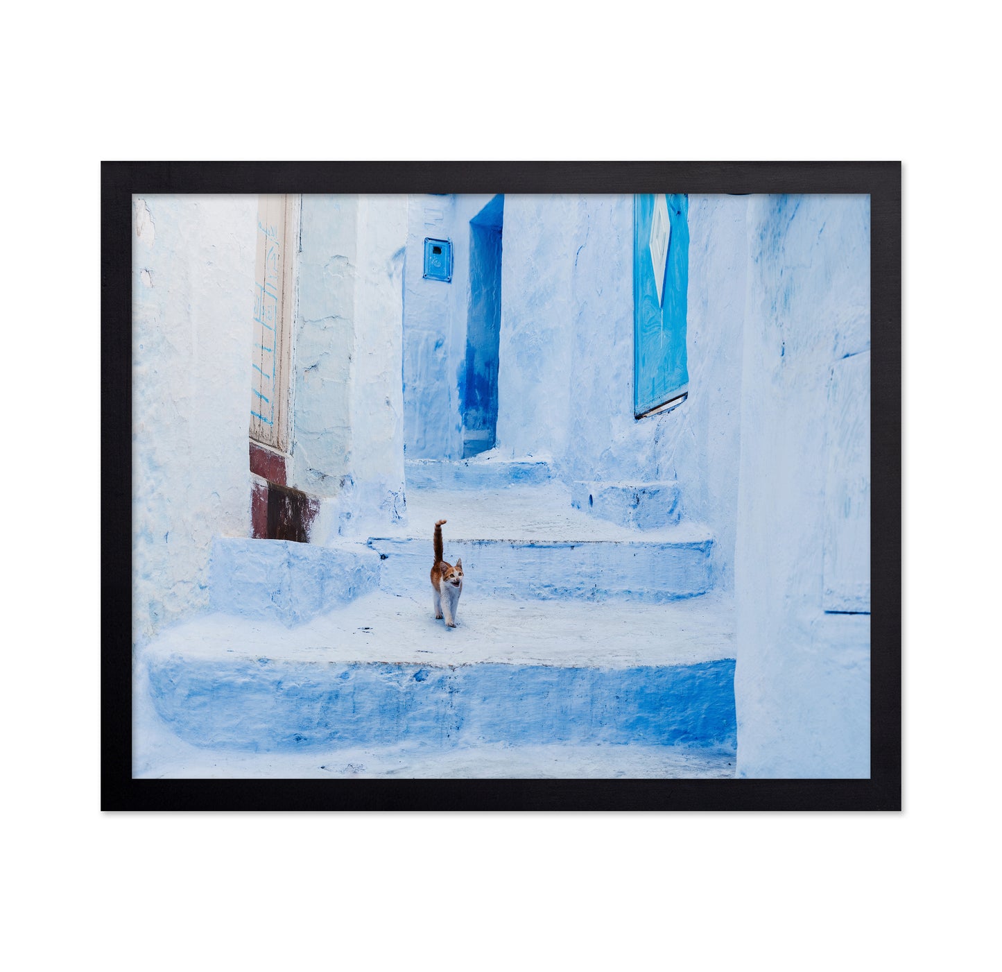 Chefchaouen Cat Walk