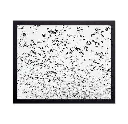 Flock In Motion