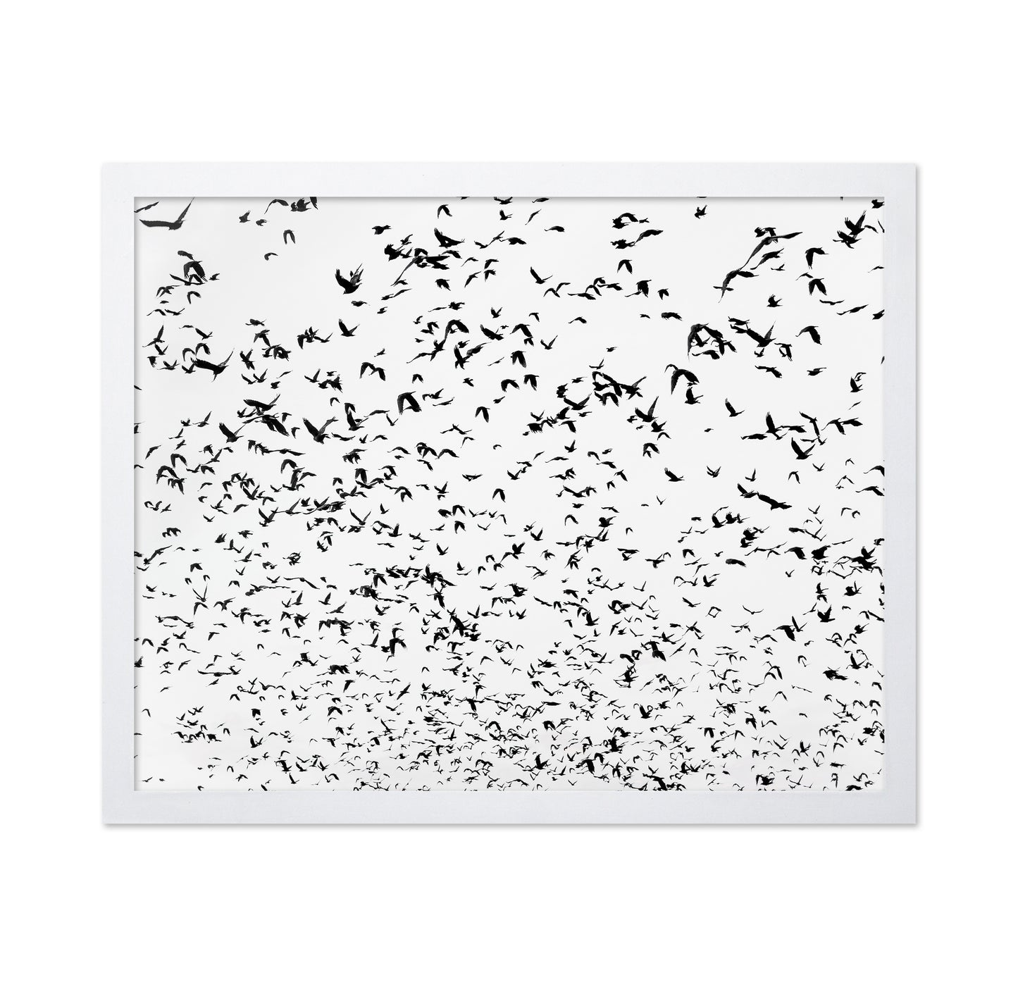 Flock In Motion