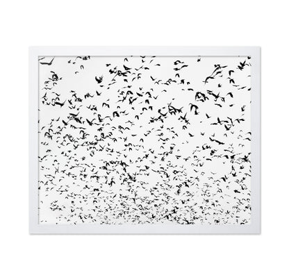 Flock In Motion