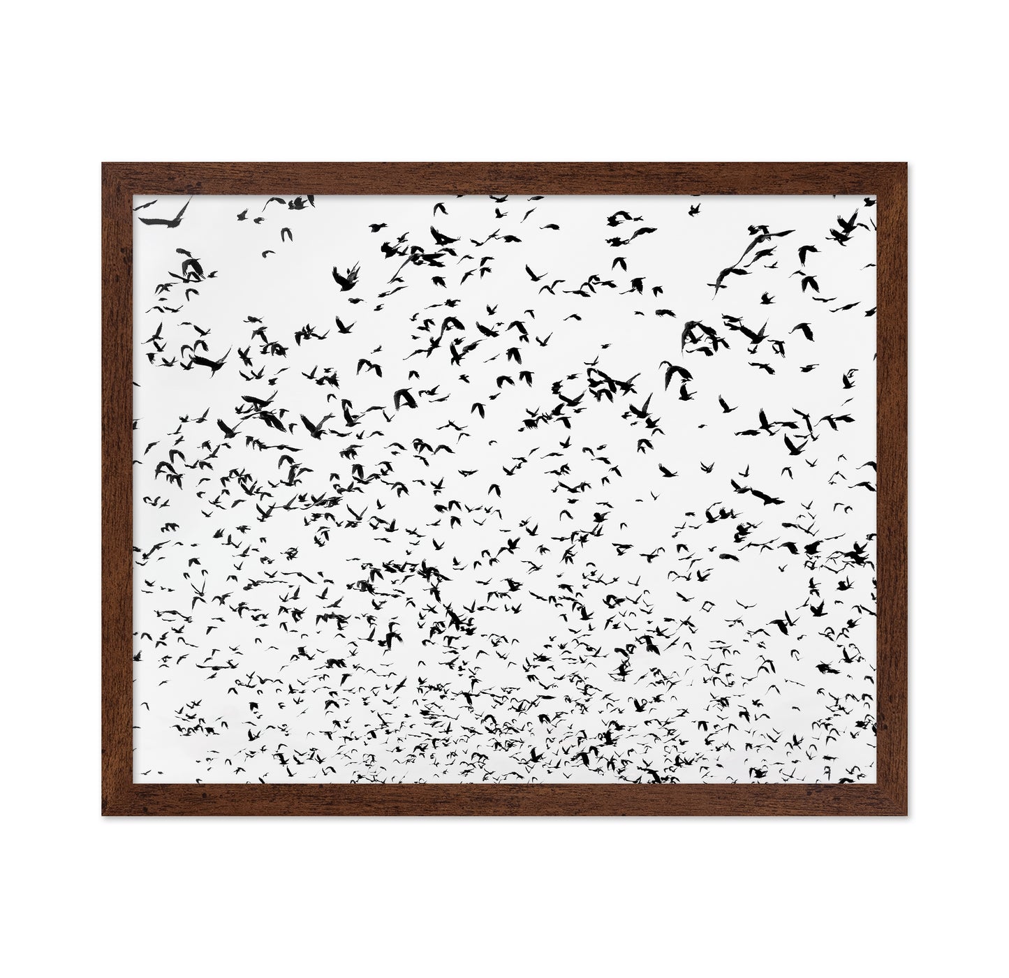 Flock In Motion