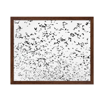 Flock In Motion