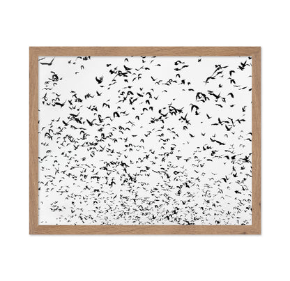 Flock In Motion
