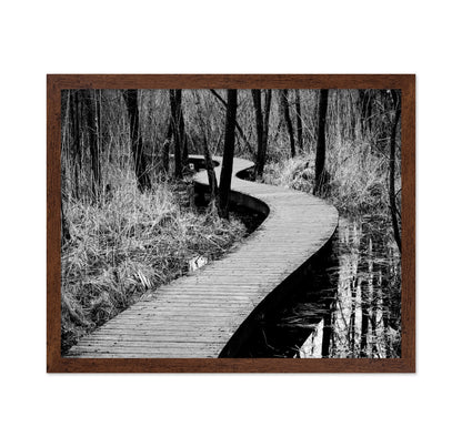 Forest Boardwalk