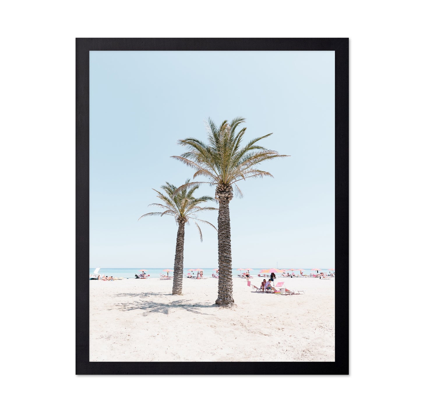 Beach Palm Scene