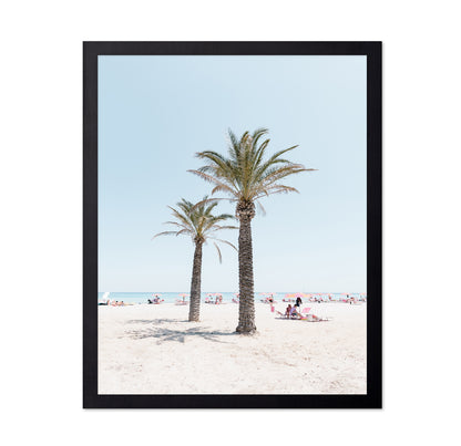Beach Palm Scene