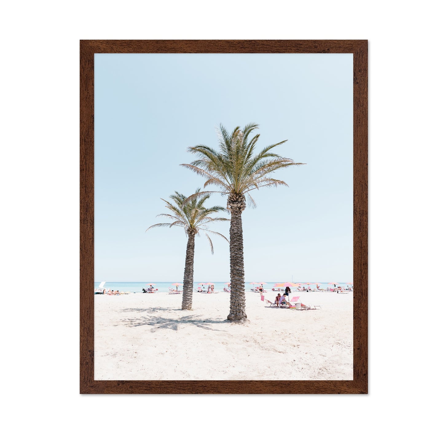 Beach Palm Scene