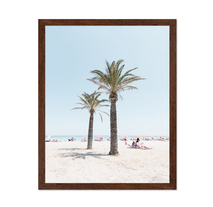 Beach Palm Scene