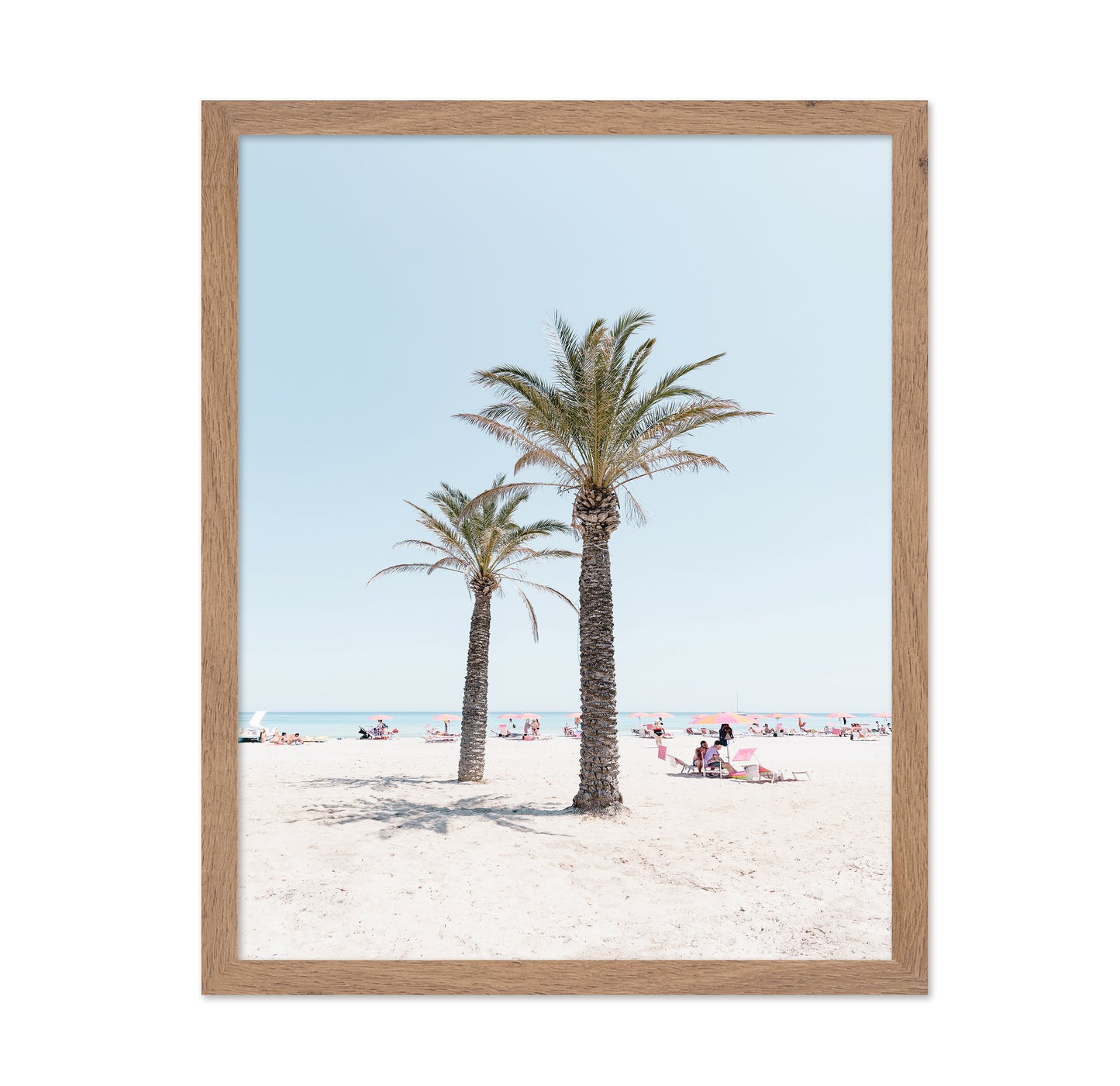 Beach Palm Scene