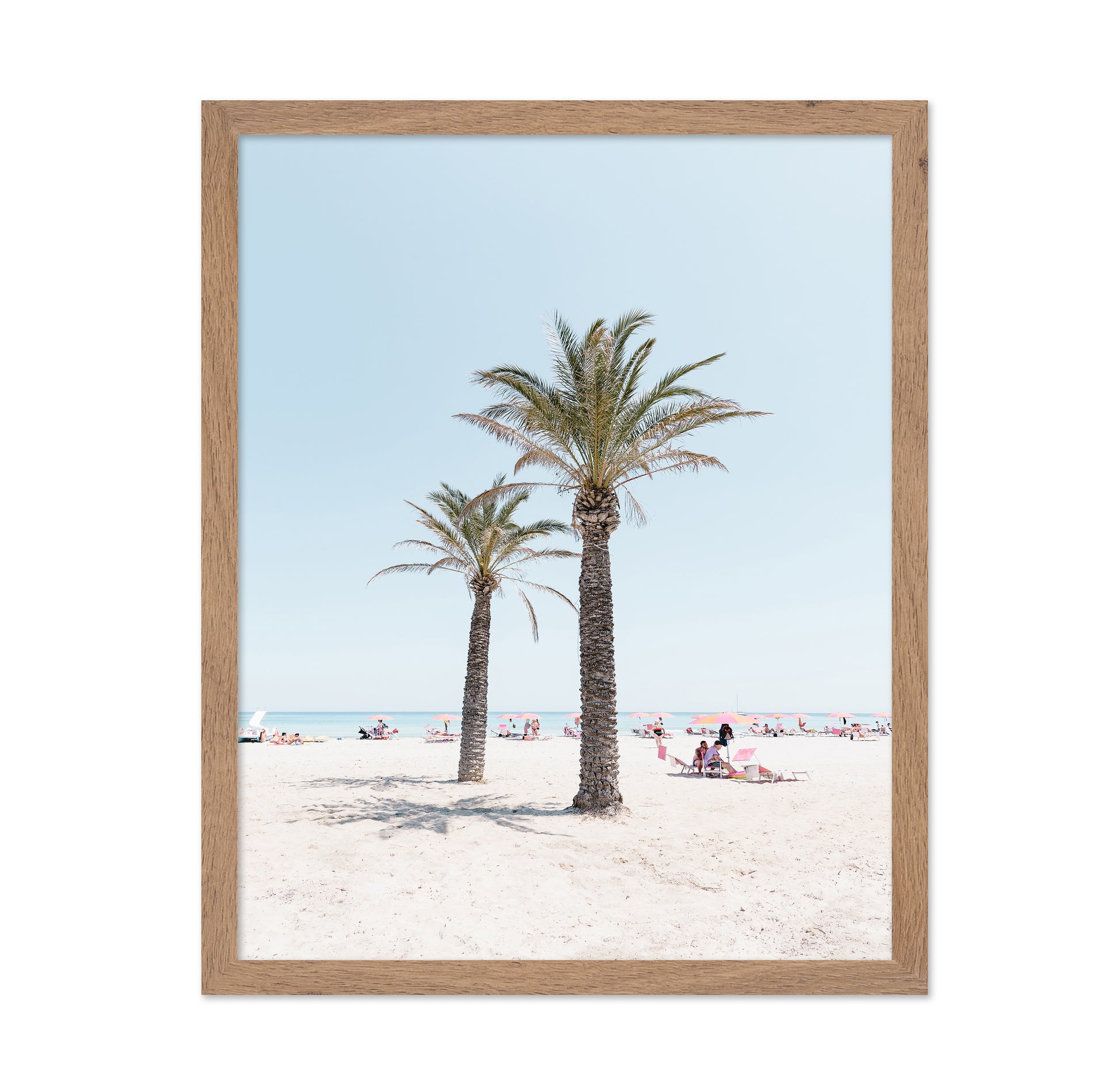 Beach Palm Scene