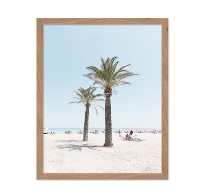 Beach Palm Scene