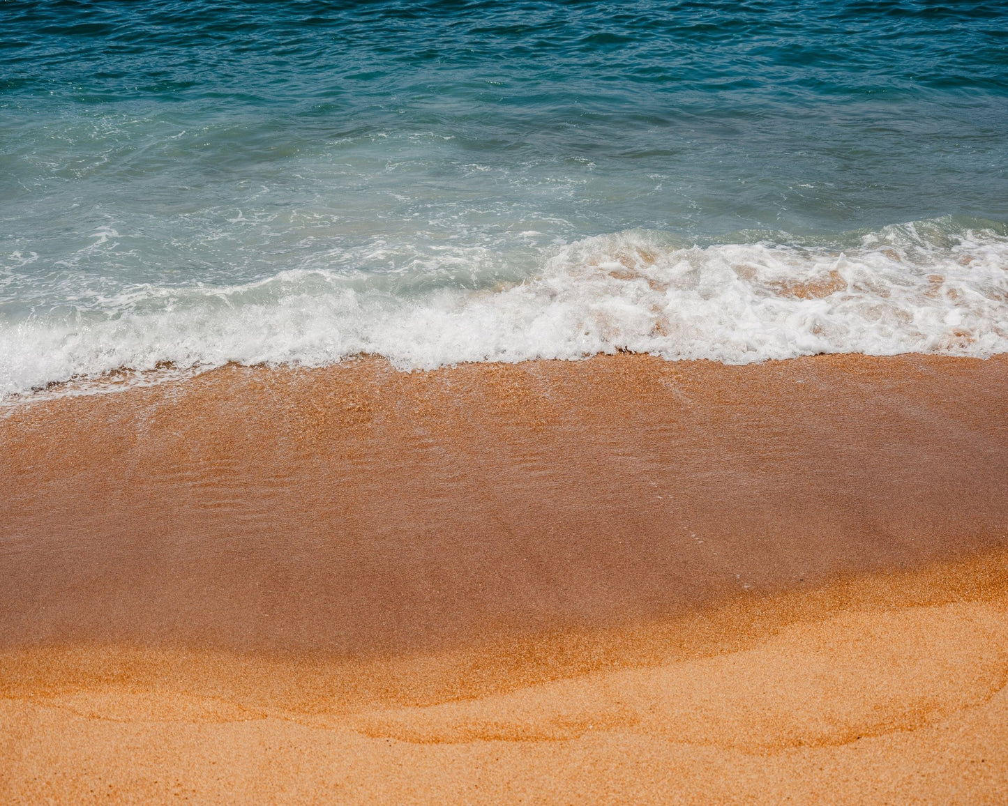 Sri Lanka Shoreline