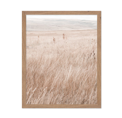 Mountain Grassland