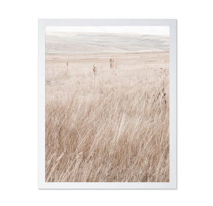 Mountain Grassland