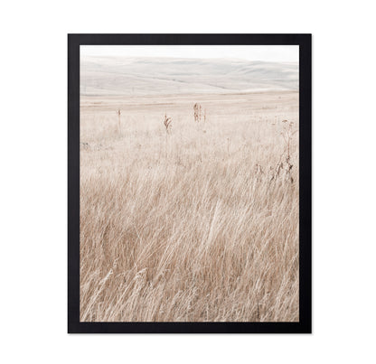 Mountain Grassland