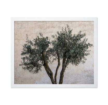 Olive Tree Minimal