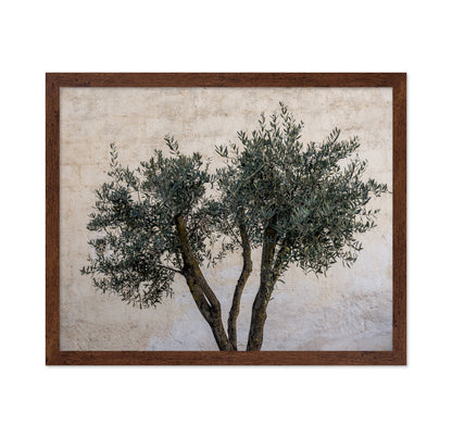 Olive Tree Minimal