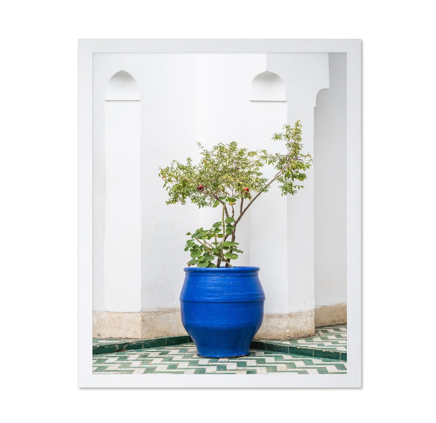 Blue Pot Garden