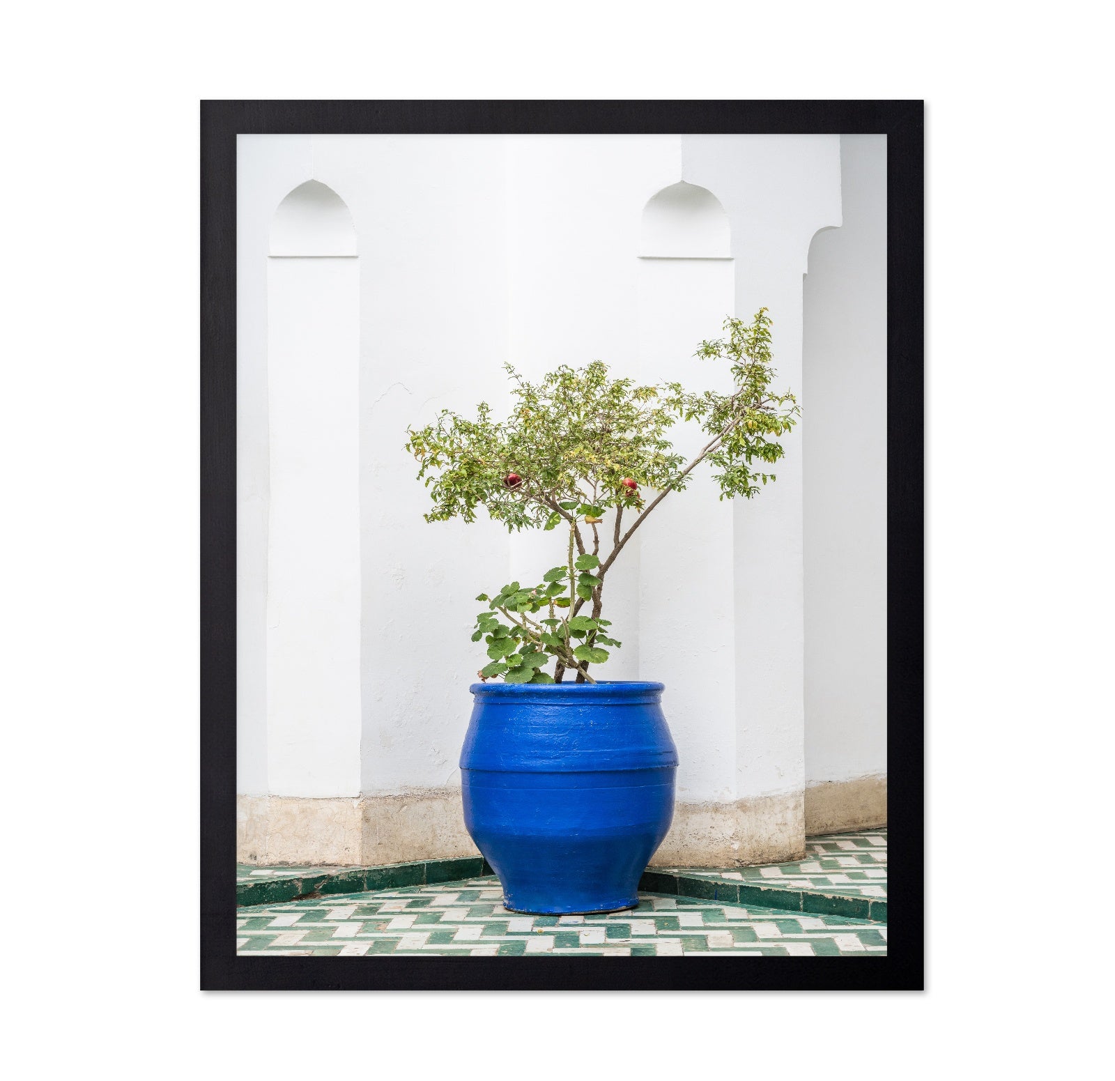 Blue Pot Garden