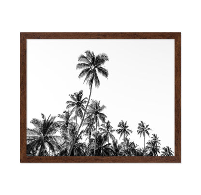Tropical Palm Silhouette