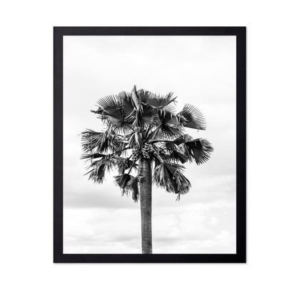 Palm Tree Monochrome