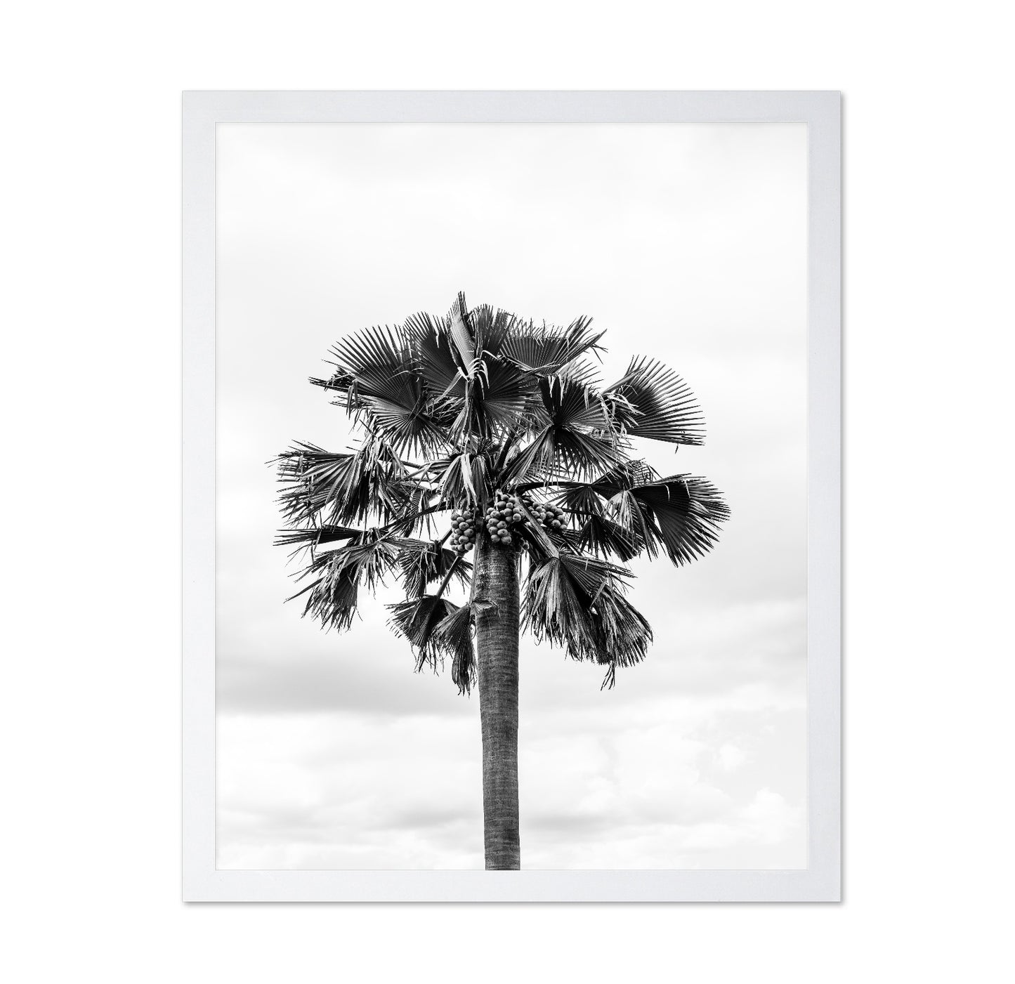 Palm Tree Monochrome
