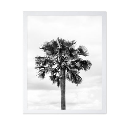 Palm Tree Monochrome